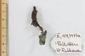Anhänger