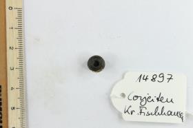 Glasperle