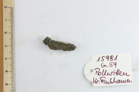 Fibelfragment