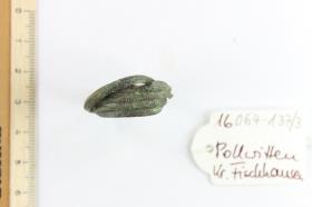 Fingerring