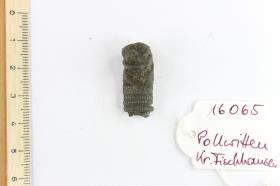 Fibelfragment