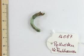 Fibelfragment