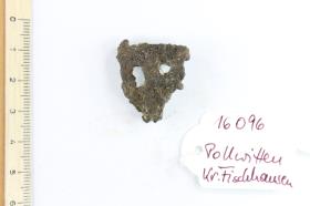 Fibelfragment