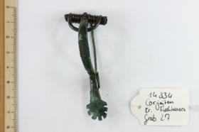 Sternfußfibel
