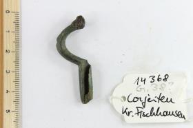 Armbrustfibel