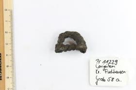 Gürtelschnalle