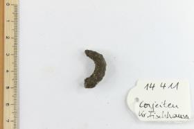 Gürtelschnallenfragment