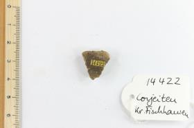 Tonfragment
