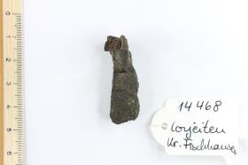 Fibelfragment