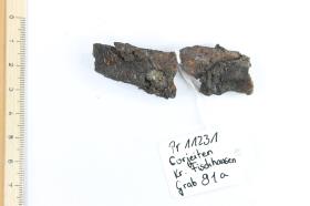 Klinge [Messer]