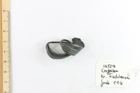 Fingerring