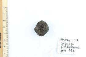 Gürtelschnalle