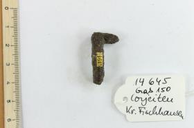 Gürtelschnallenfragment