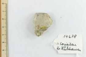 Silex