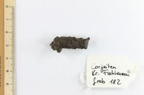 Fibelfragment