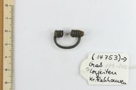 Fibelfragment
