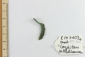 Fibelfragment