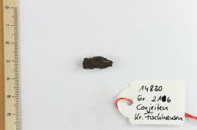Gürtelschnallenfragment