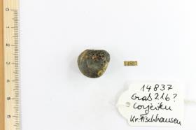 Glasperle
