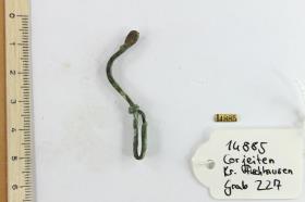 Armbrustfibel