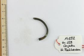 Armring