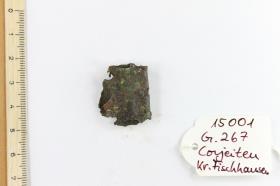 Gürtelschnallenfragment