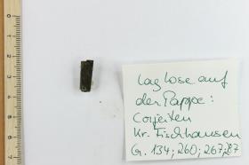 Gürtelschnalle