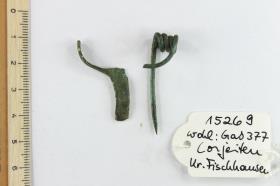 Fibelfragment