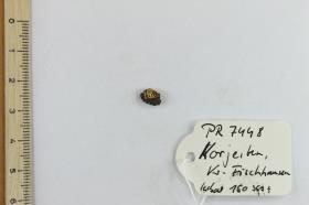 Eisenfragment