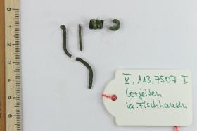 Fibelfragment