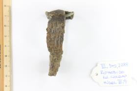 Armbrustfibel