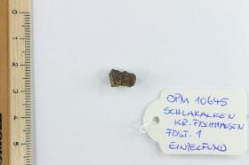 Fibelfragment