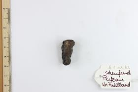 Fibelfragment