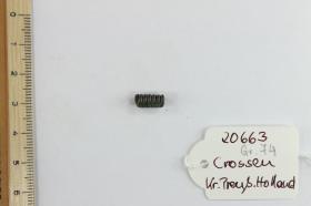 Silberfibelfragment