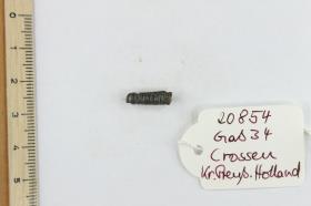 Fibelfragment