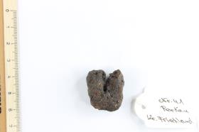 Fibelfragment