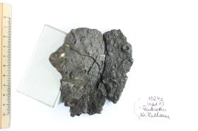 Schildbuckel