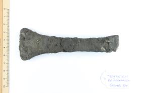 Schildfessel