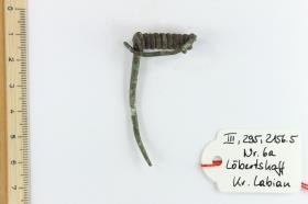 Fibelfragment