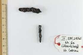 Fibelfragment