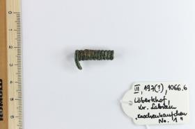 Fibelfragment