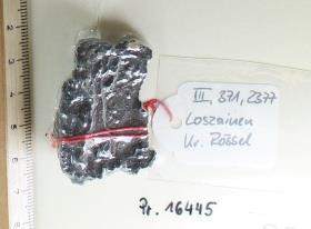 Gürtelschnallenfragment