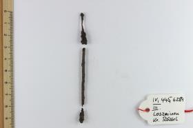 Eisenfragment
