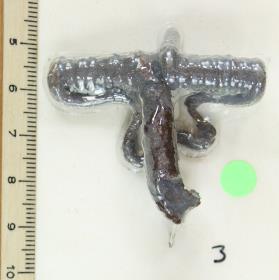 Fibelfragment