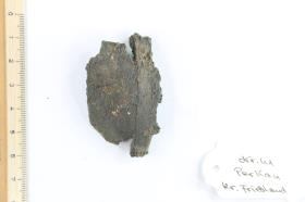 Armring