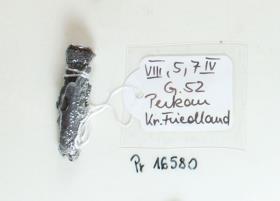 Fibelfragment