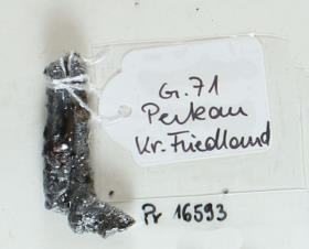Fibelfragment