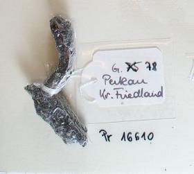 Fibelfragment
