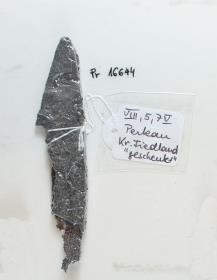 Messerfragment
