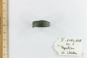 Fingerring